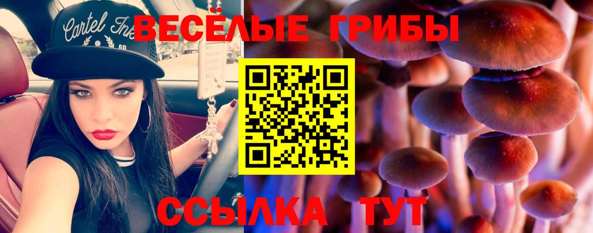 Галлюциногенные грибы GOLDEN TEACHER  Псилоцибиновые грибы Magic Shrooms  Родники  Вход с VPN 